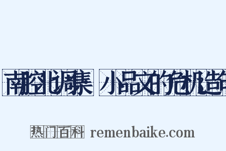 南腔北调集·小品文的危机造句是什么意思的图片